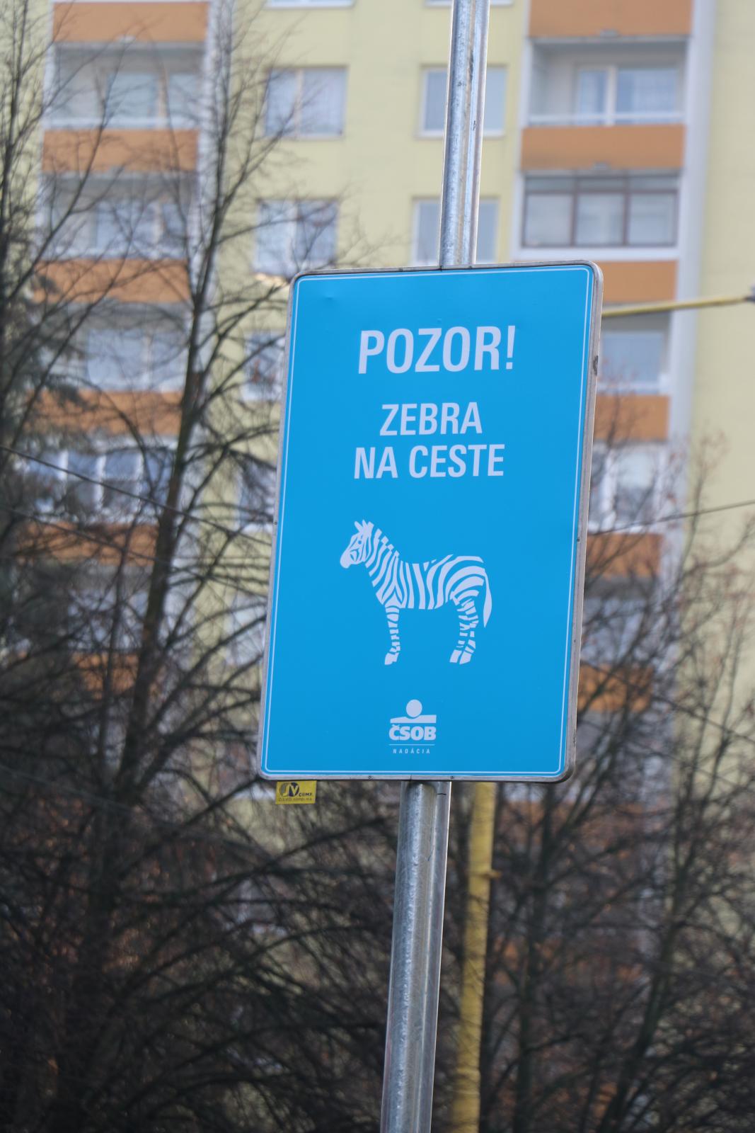 ČSOB Zebra na ceste